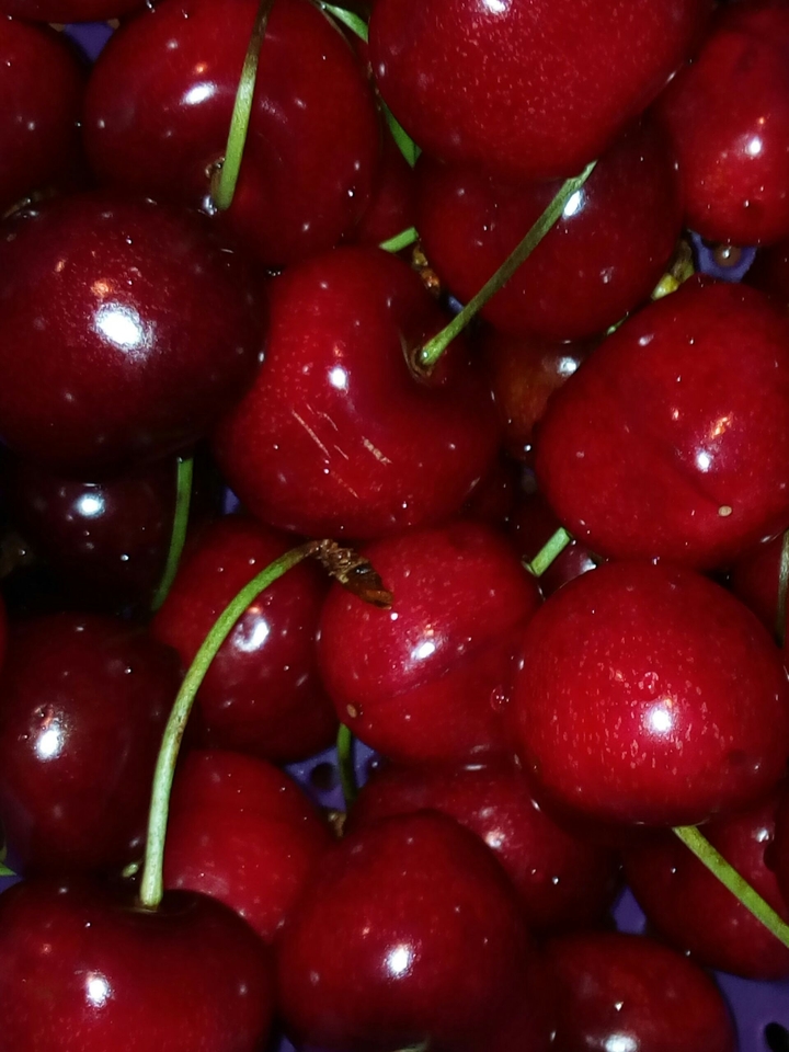 summer cherry