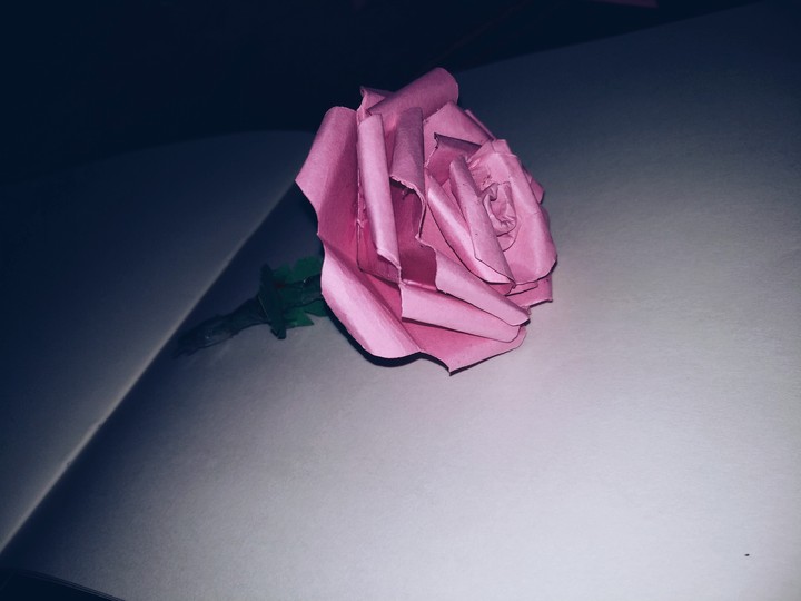 rose