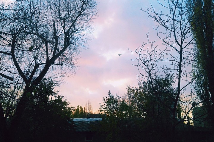 Sky