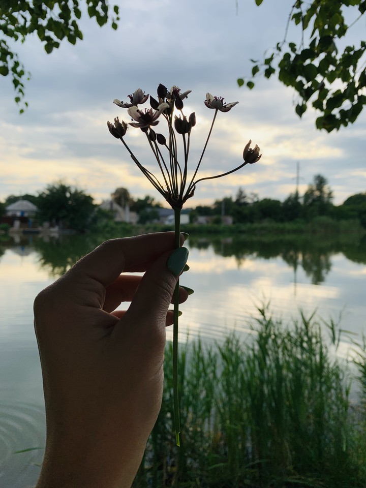 вечер