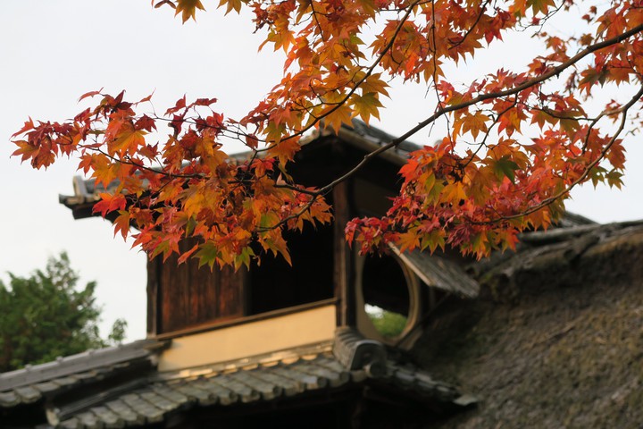 autumn