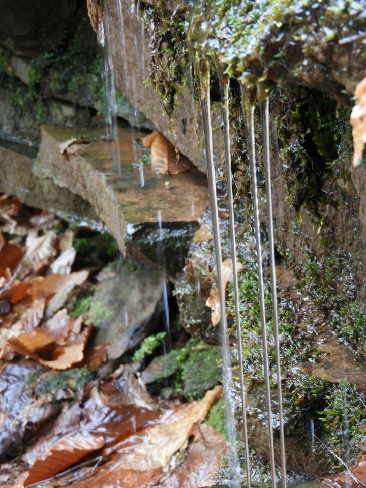 Dripping