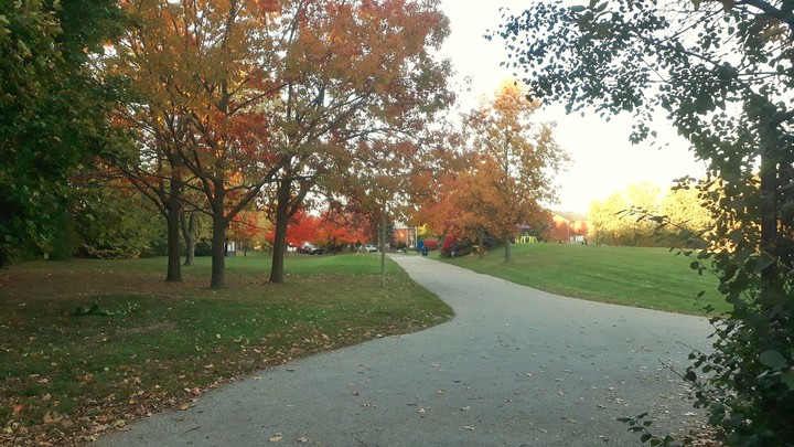 Autumn