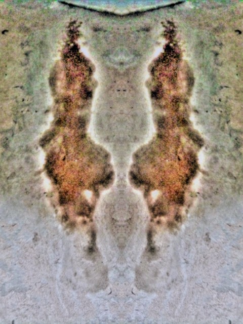 fondos de pantalla symmetry, pollinator