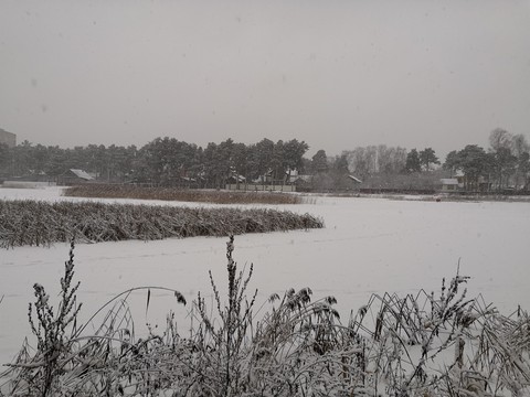 winter