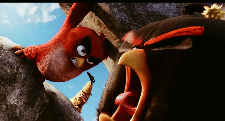 Angry birds movie: Red, Chuck and Bomb