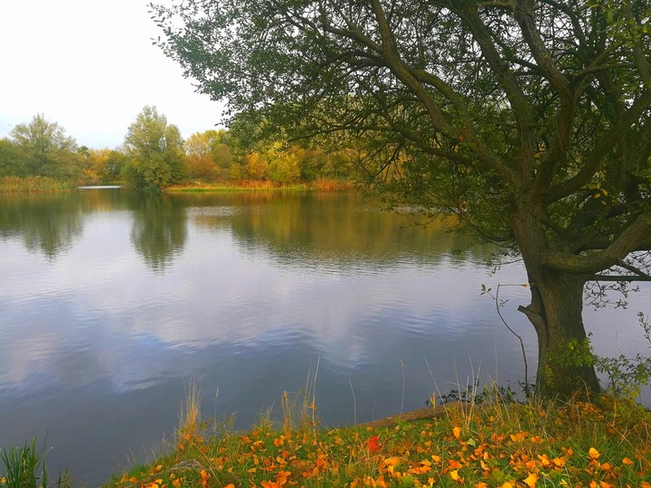 Autumn Lake