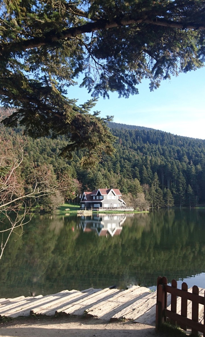 orman