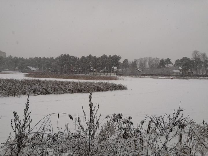 winter