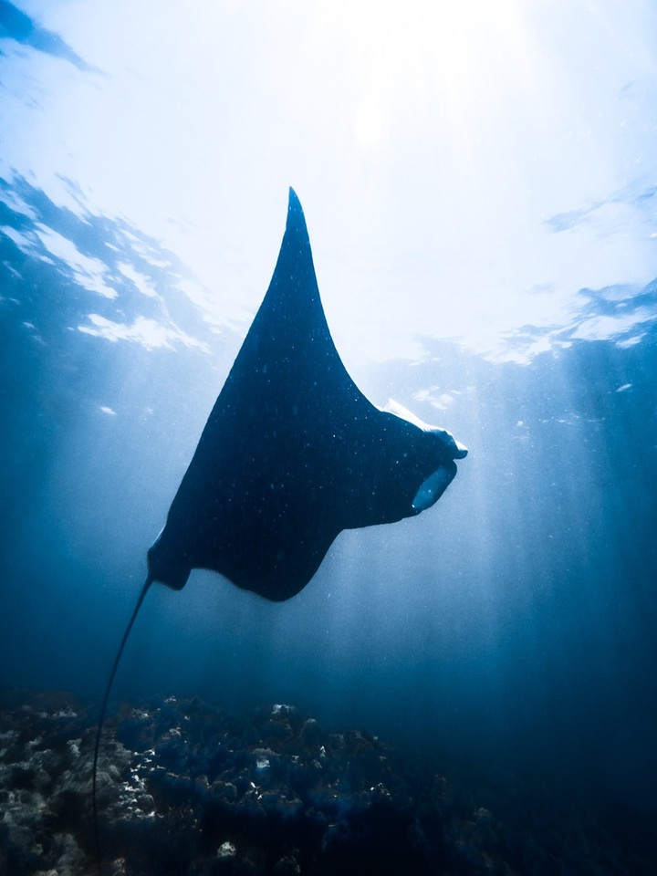 underwater