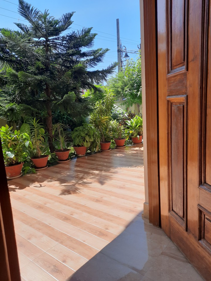 Sunny SunDay