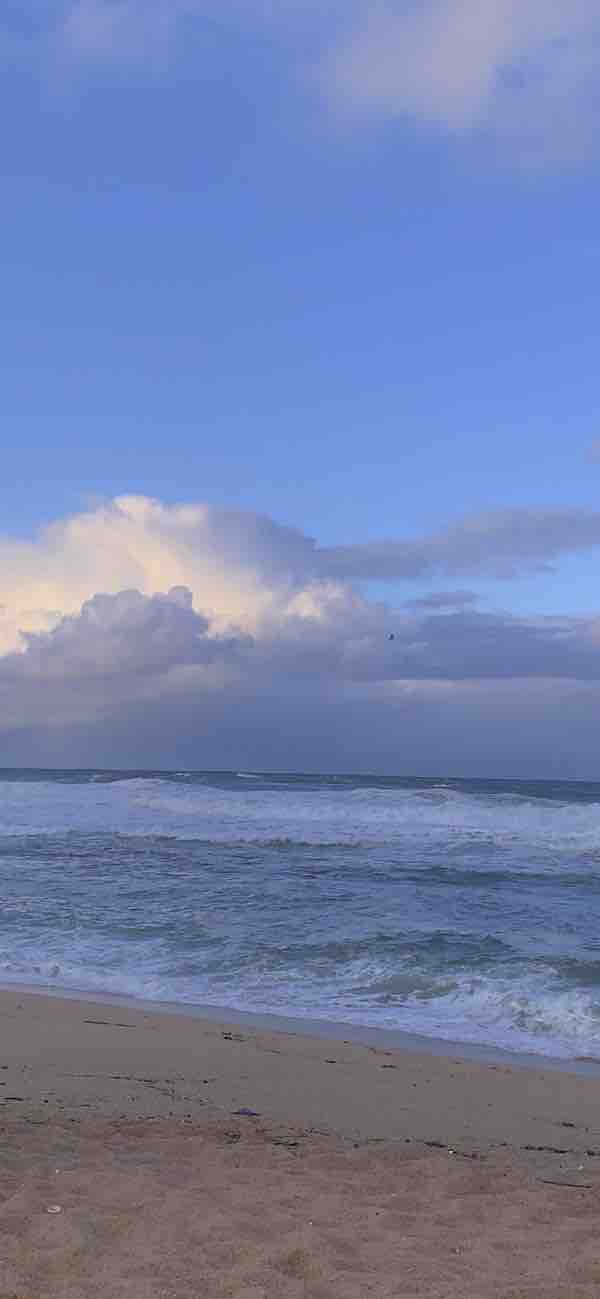 sea