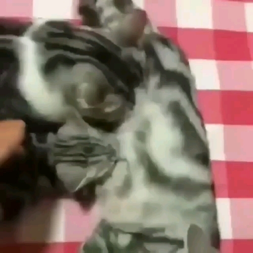 ..