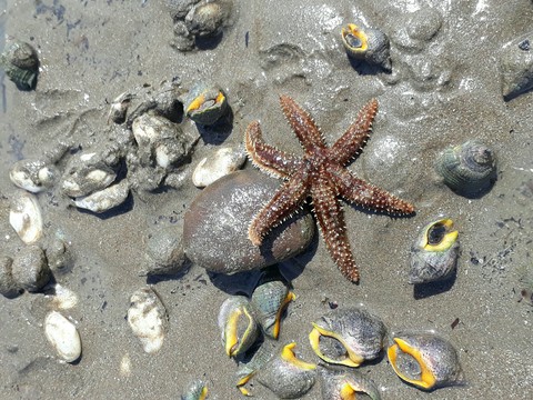 Love the sea