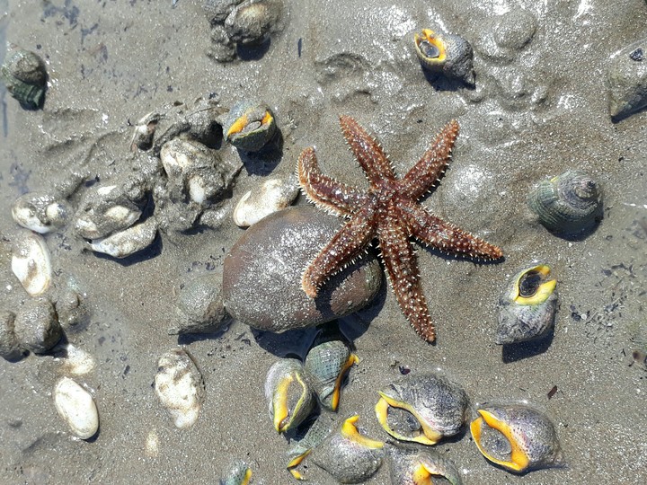 Love the sea