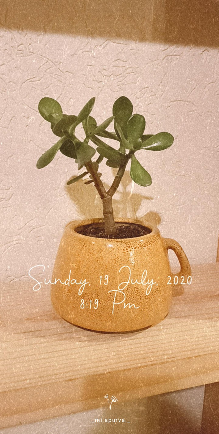 Cup.Homegarden