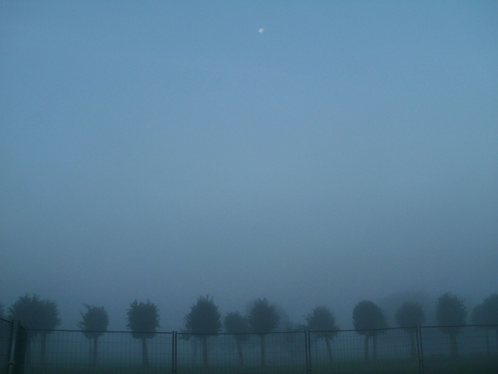 Smothered in fog