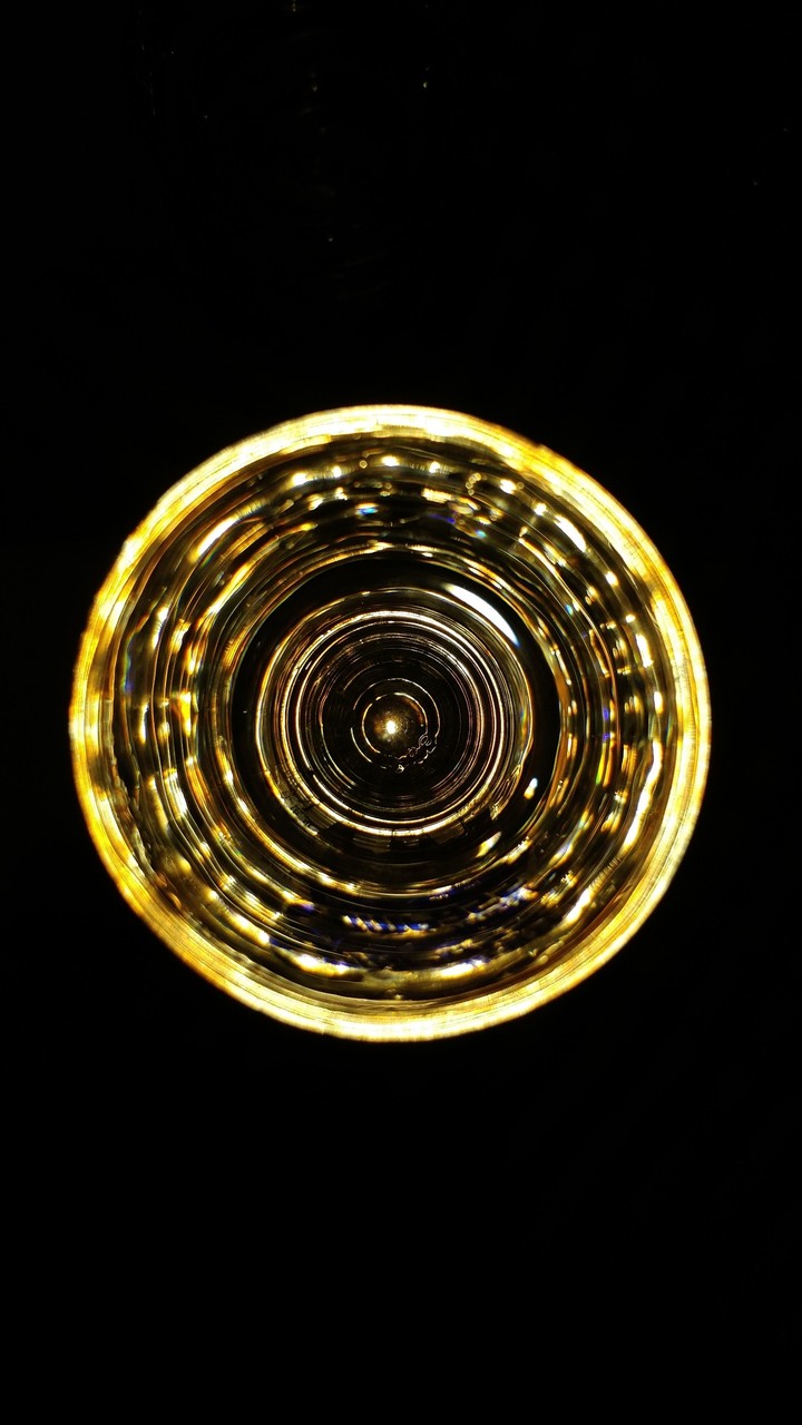 Circle of Life