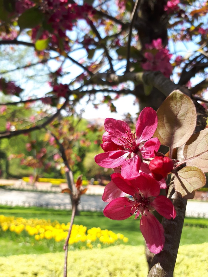 Doğa Mucizesi
