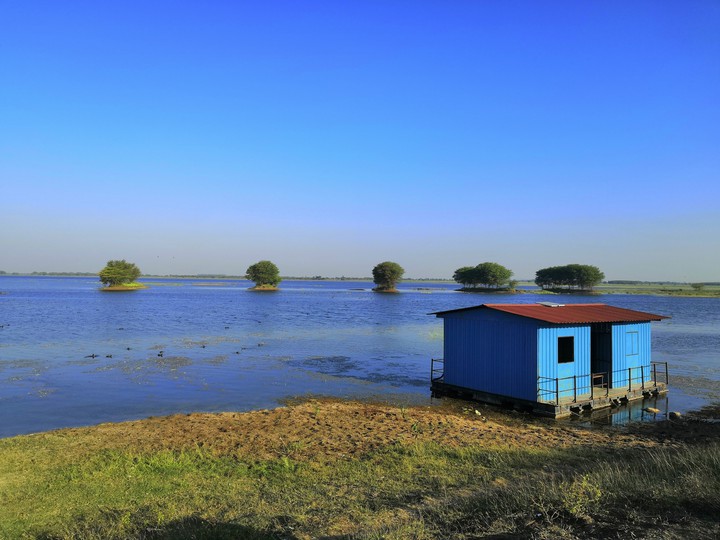 wetland Wadhwana in India , habitat of migratory birds.