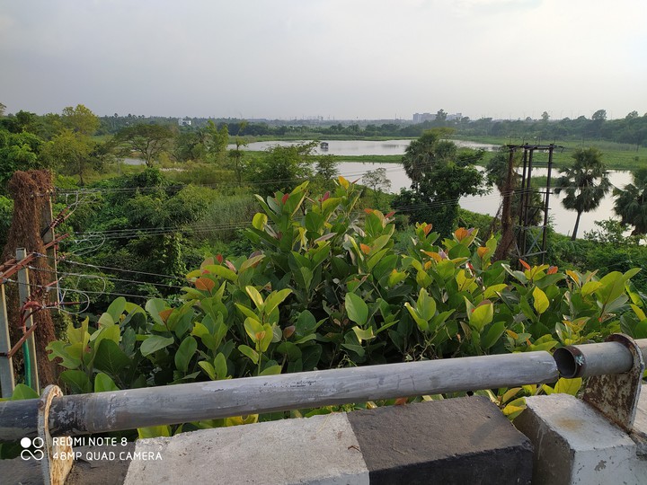 westbengal india the NH6 expressway beauty