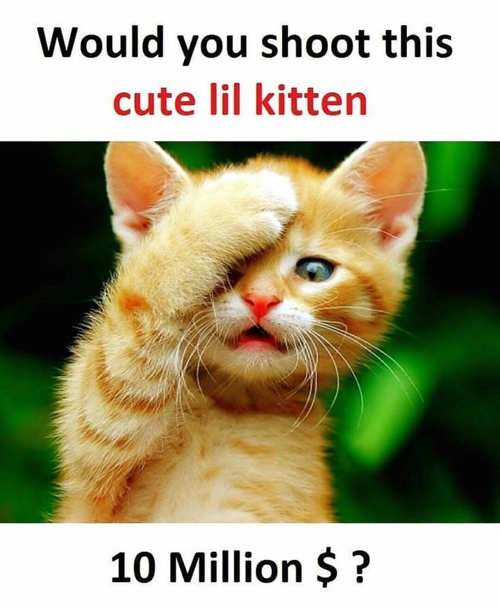 cut