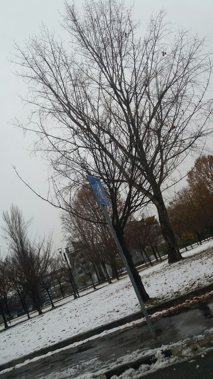 neve