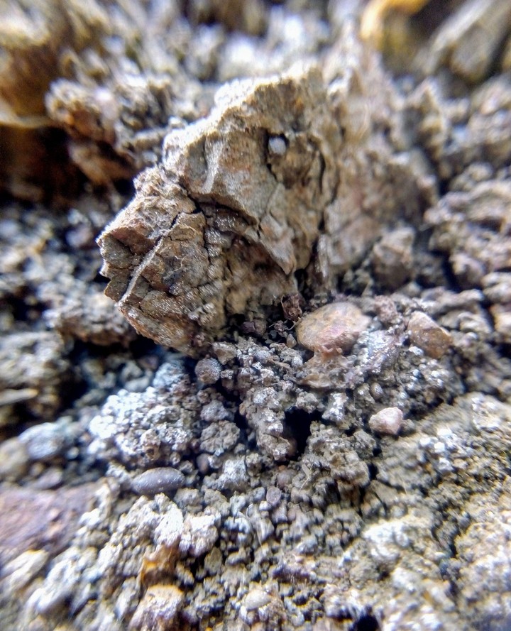 rock