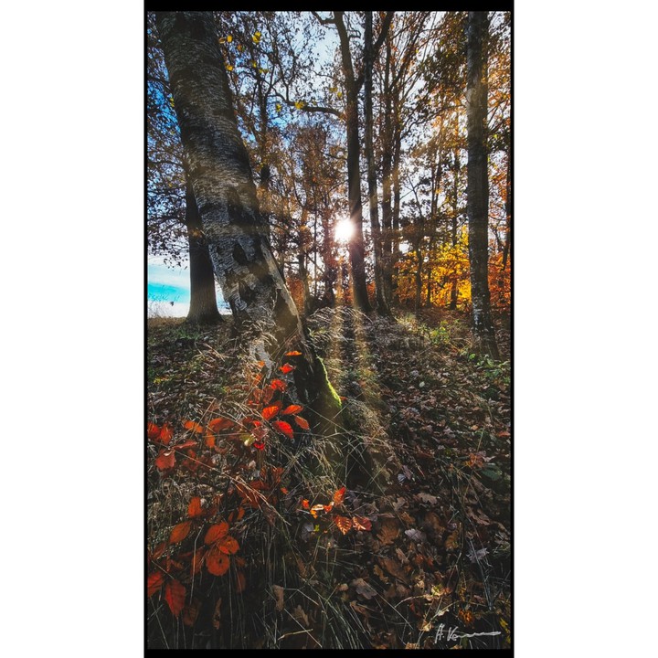 Es wird Herbst