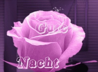 Gute Nacht