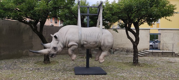 RINOCERONTE di Stefano BOMBARDIERI