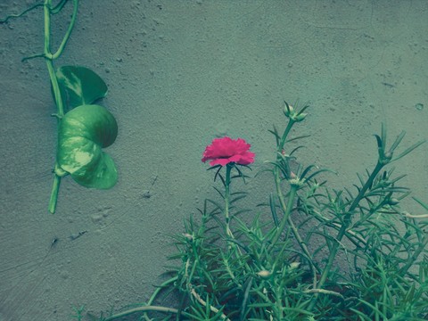 one is enough