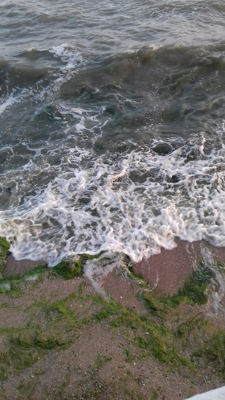 Волны с водорослями