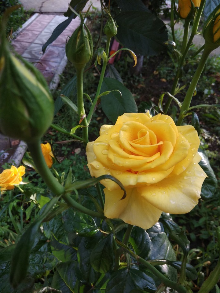 f