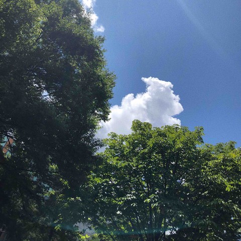 青空