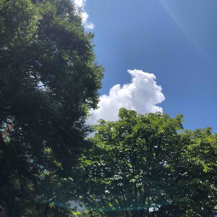 青空