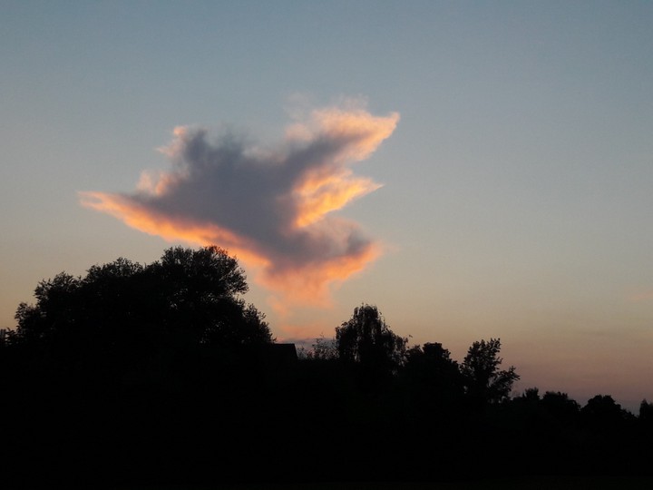 dove cloud