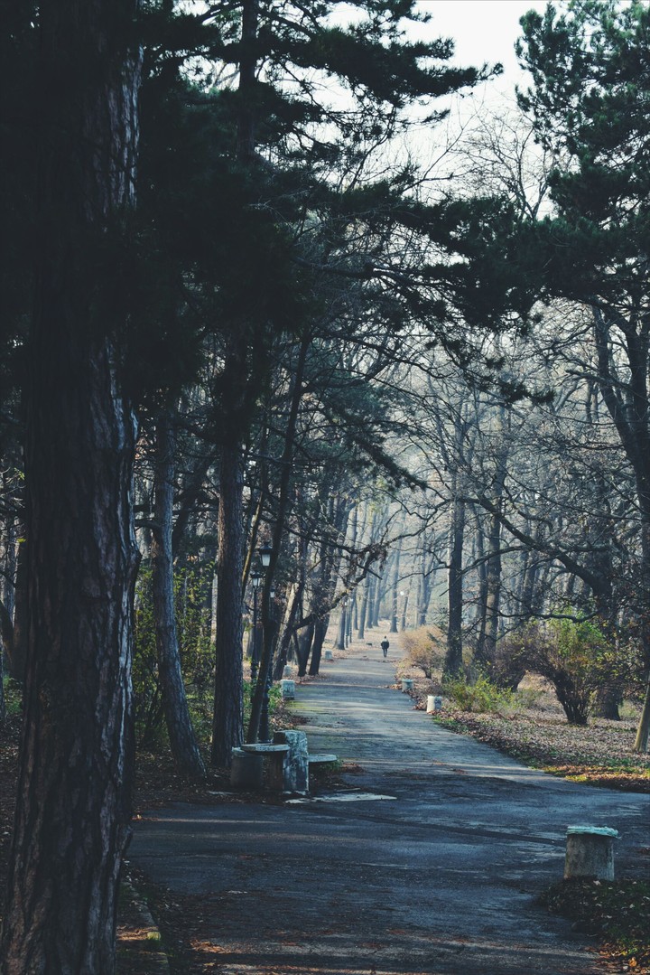 Walking..
