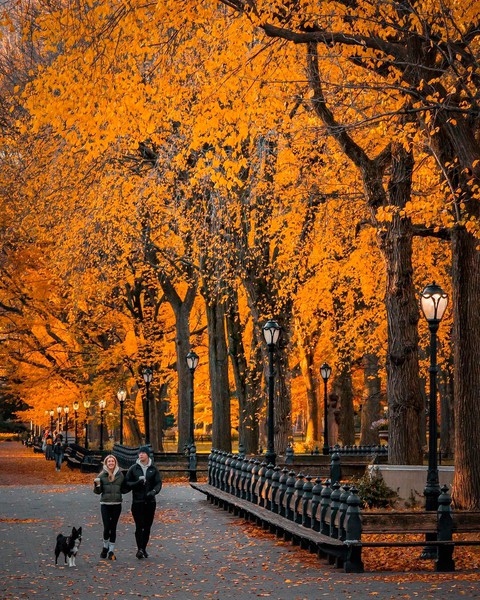 осень