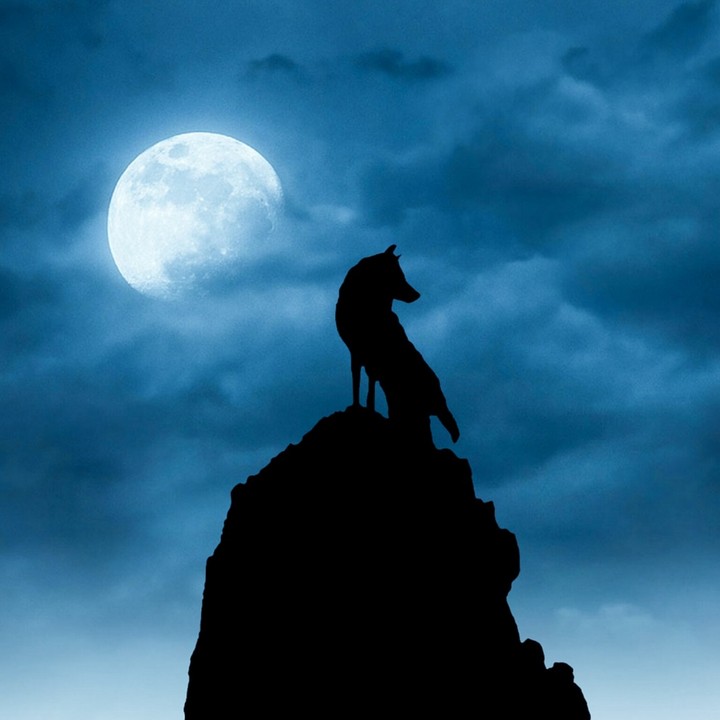 full moon night...