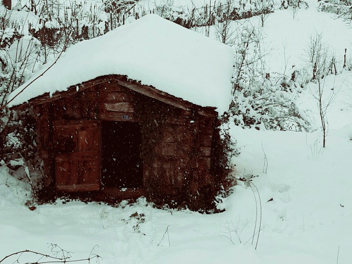 lonely house