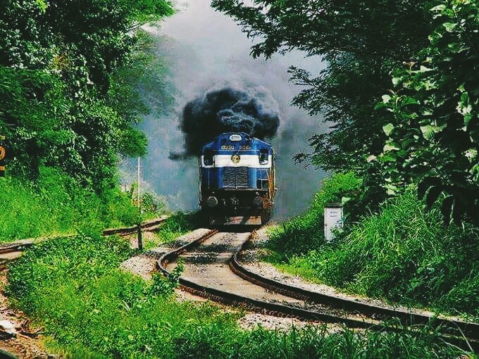 Nature