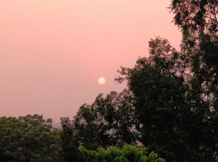 #nofilter#evening#sunset# nature#love# ❤️❤️