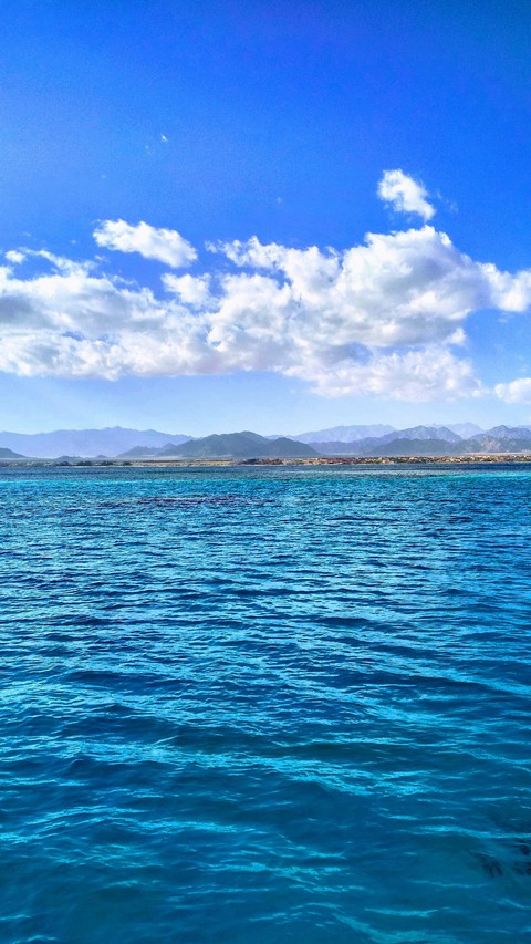 Red sea