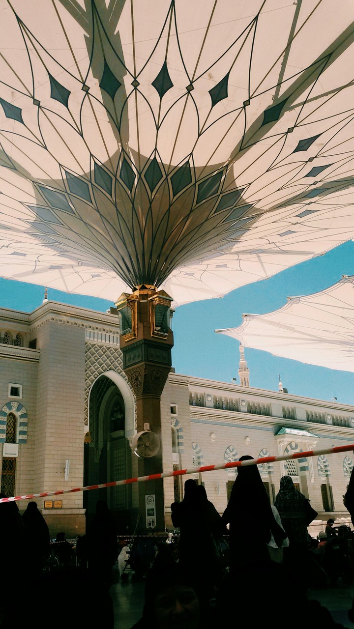 umbrella