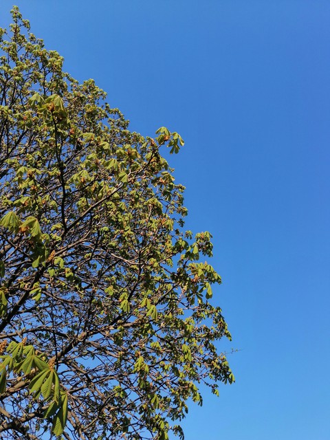 sky