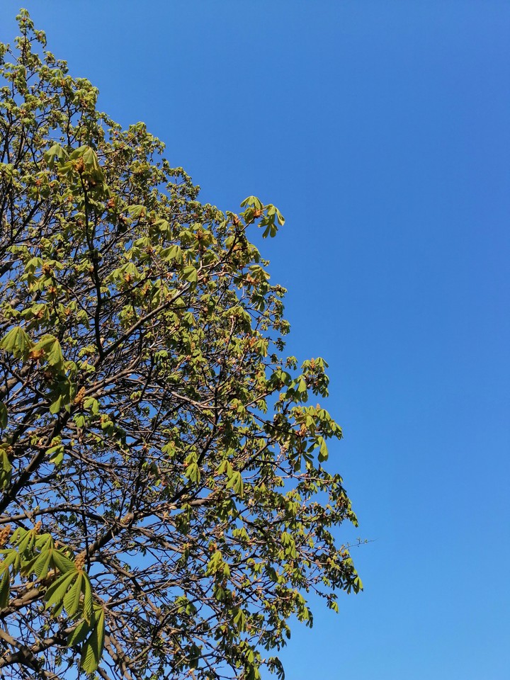 sky