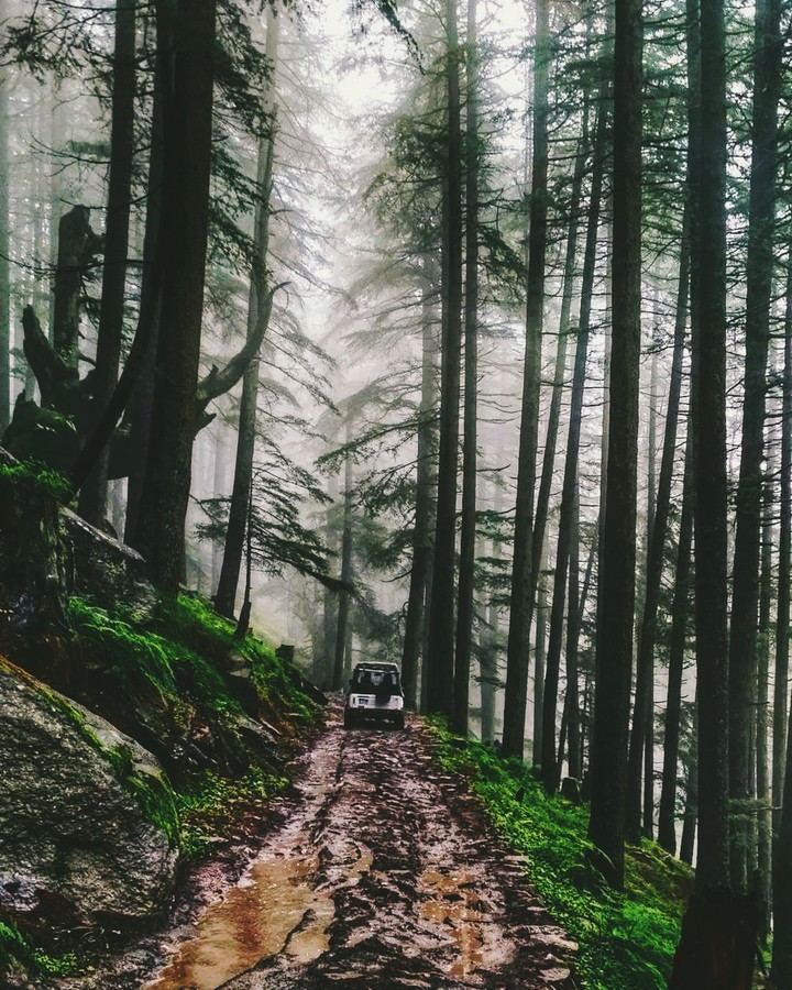Hill #way.