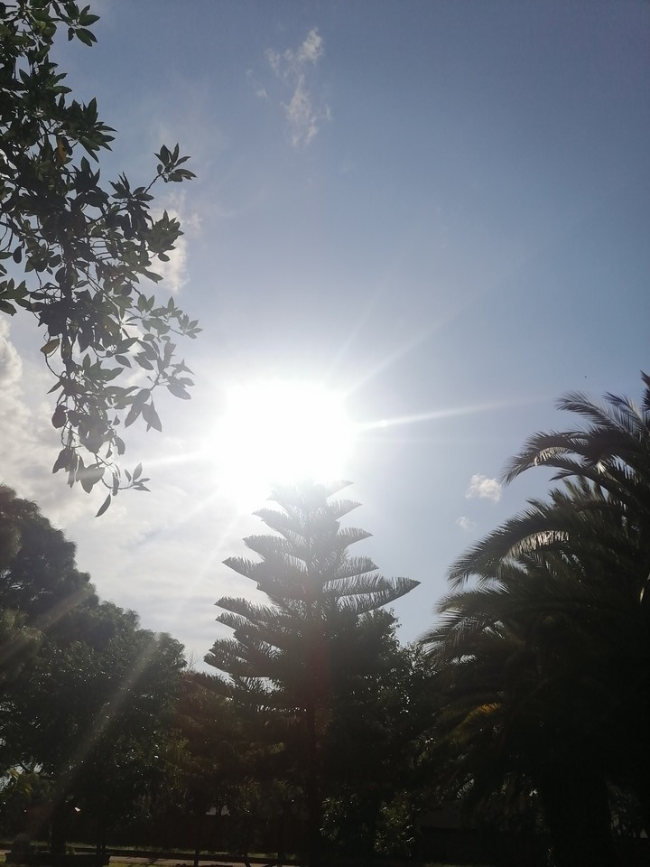 NATURALEZA