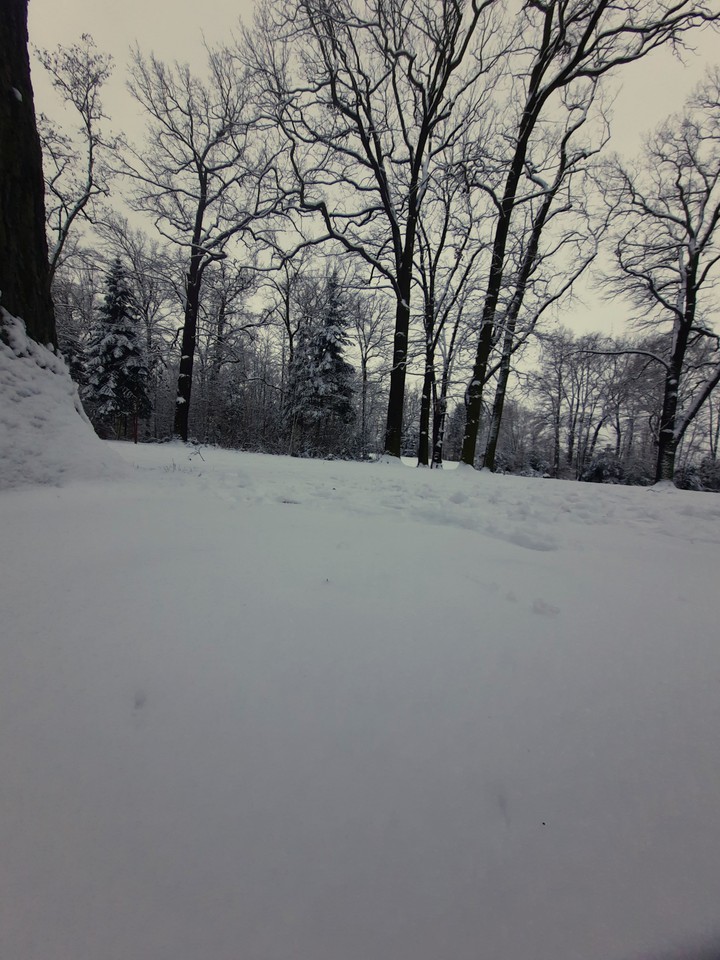 winter